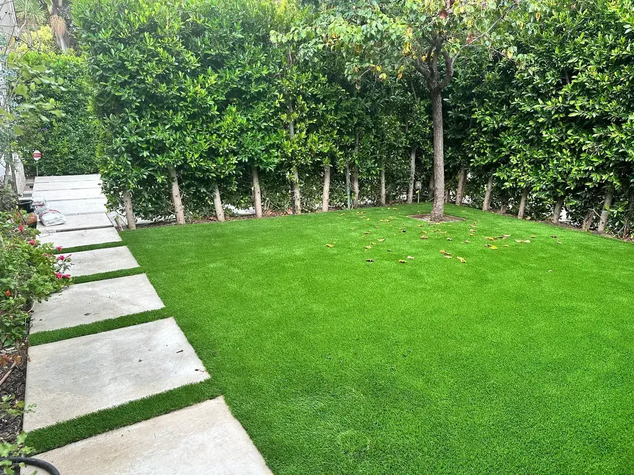 Green lawn with tree and pathway.