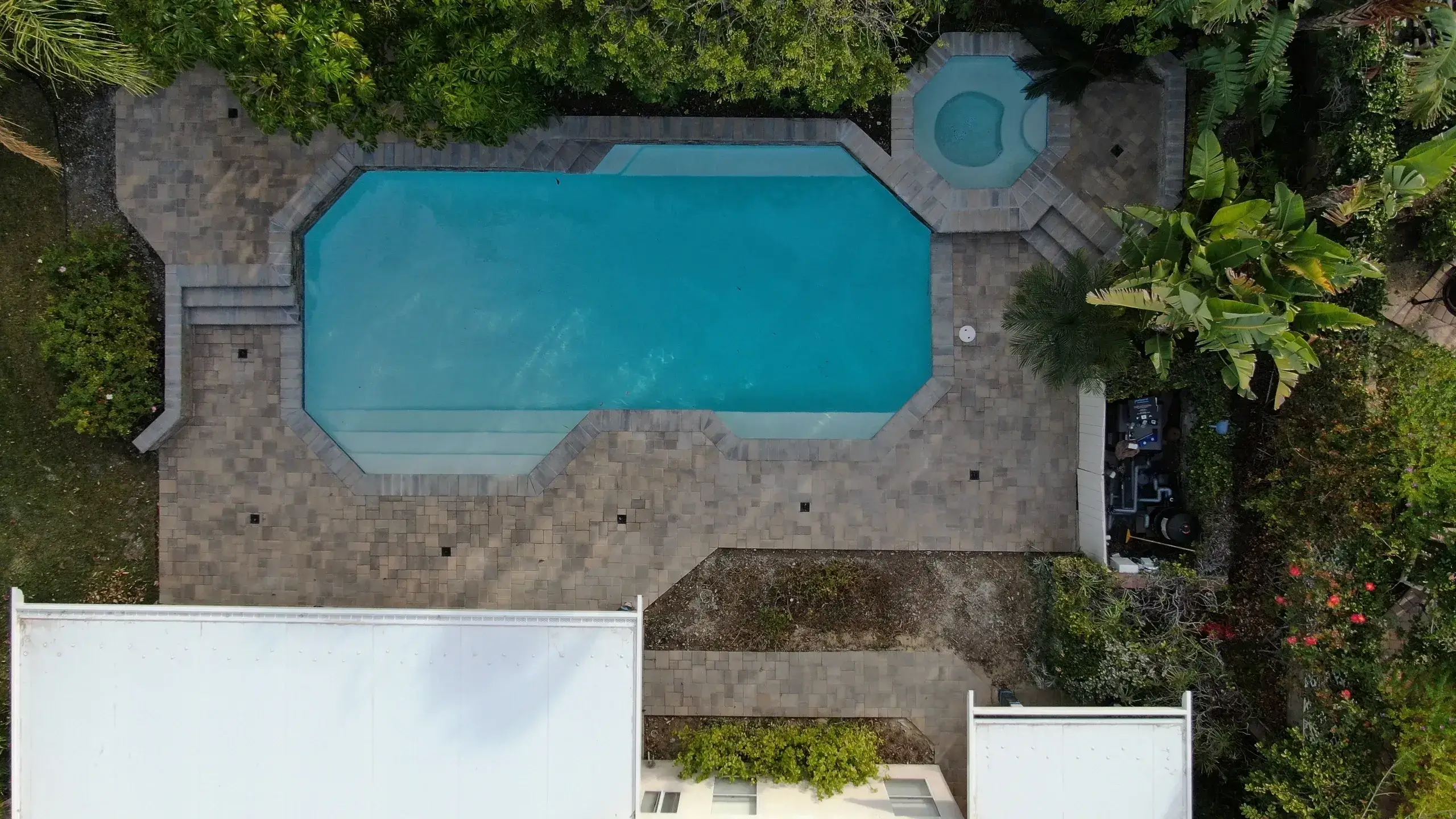 A serene backyard pool with a hot tub surrounded by greenery.