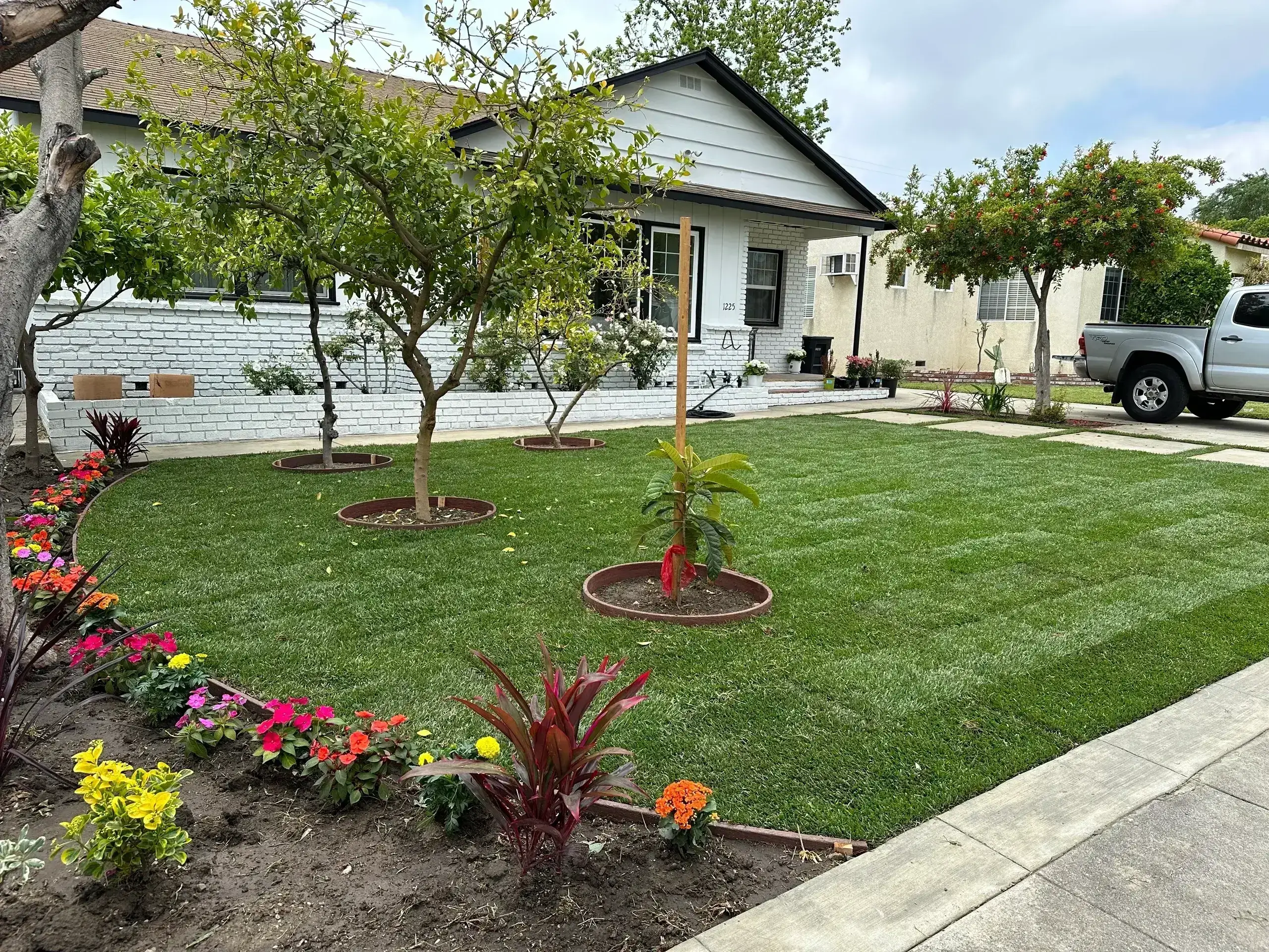 A well-maintained front yard with fresh grass, small trees, and colorful flowers.